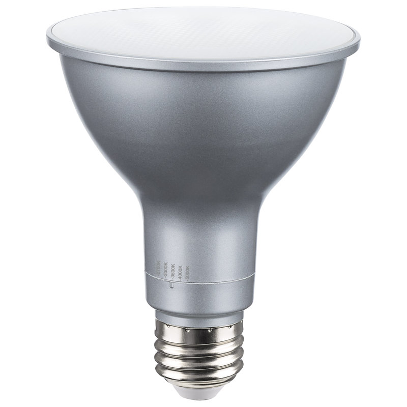15 Watt Silver Bulb
