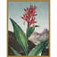 Temple of Flora I par Dr. robert j. Impression sur toile encadrée Thornton-109561830