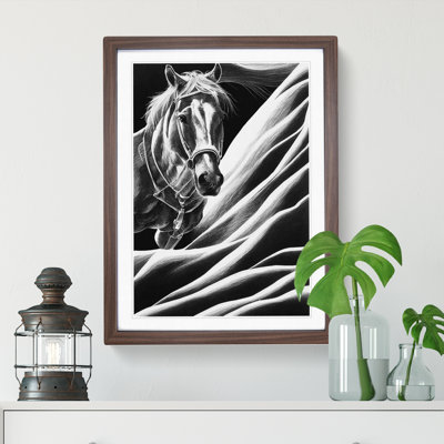 Monochrome Horse No.4 - Framed Print