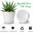6 inch Plant Pots 5 Pack-846098987