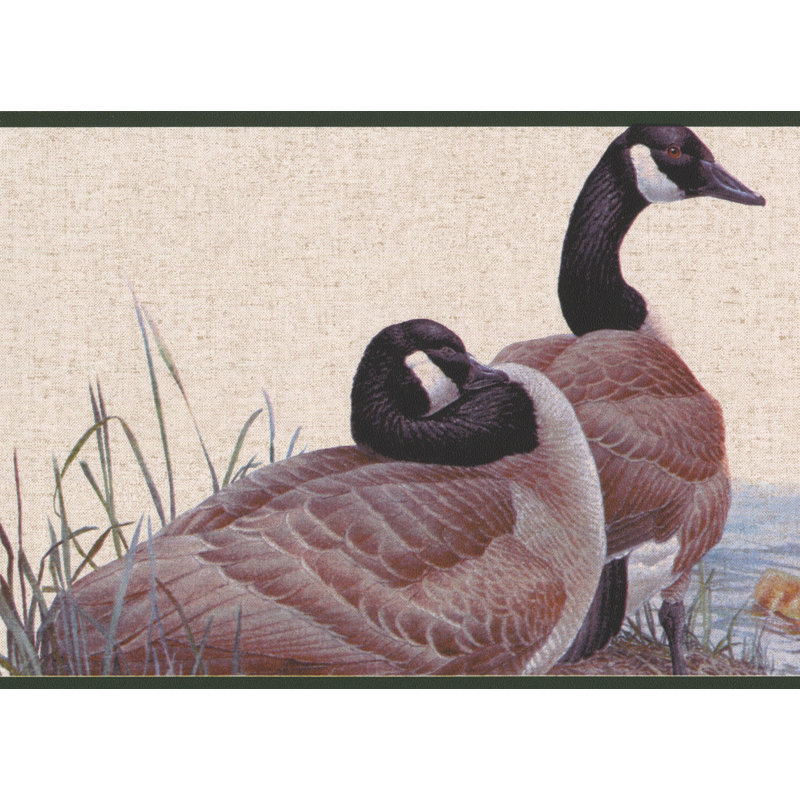 Bordure de papier peint à motif de canard sur la côte du lac Chadbury L 7 pi x l 180 po Chadbury
