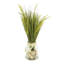 Grass Arrangement In Shell Vase
