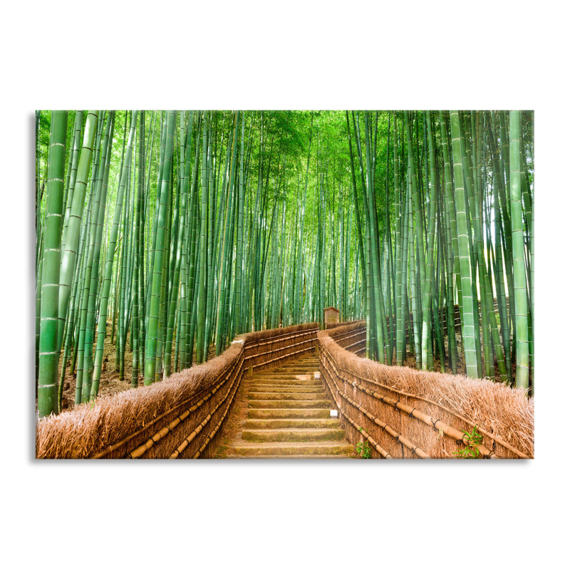 Bamboo Forest In Kyoto, Japan - No Frame Print on Glass, 70cm H x 100cm W x 0.4cm D
