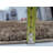 Feather Tifany Brown Area Rug-1721221093