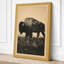 Bison Silhouette Rustic - Wrapped Canvas-1452832895-1452832880