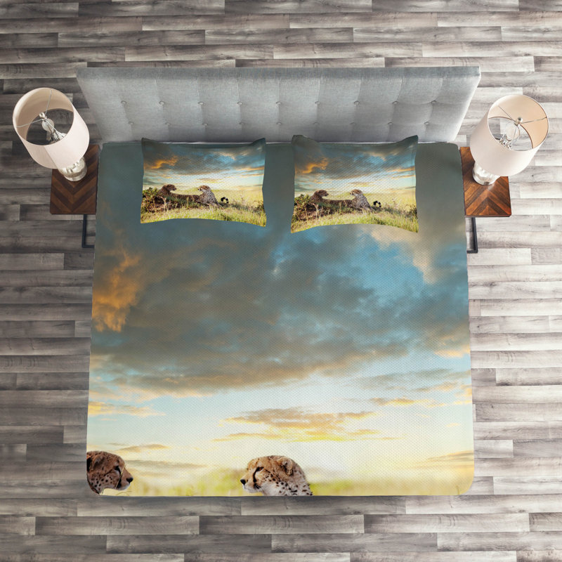 Eclectic Polyester Coverlet, King Bedspread + 2 Shams