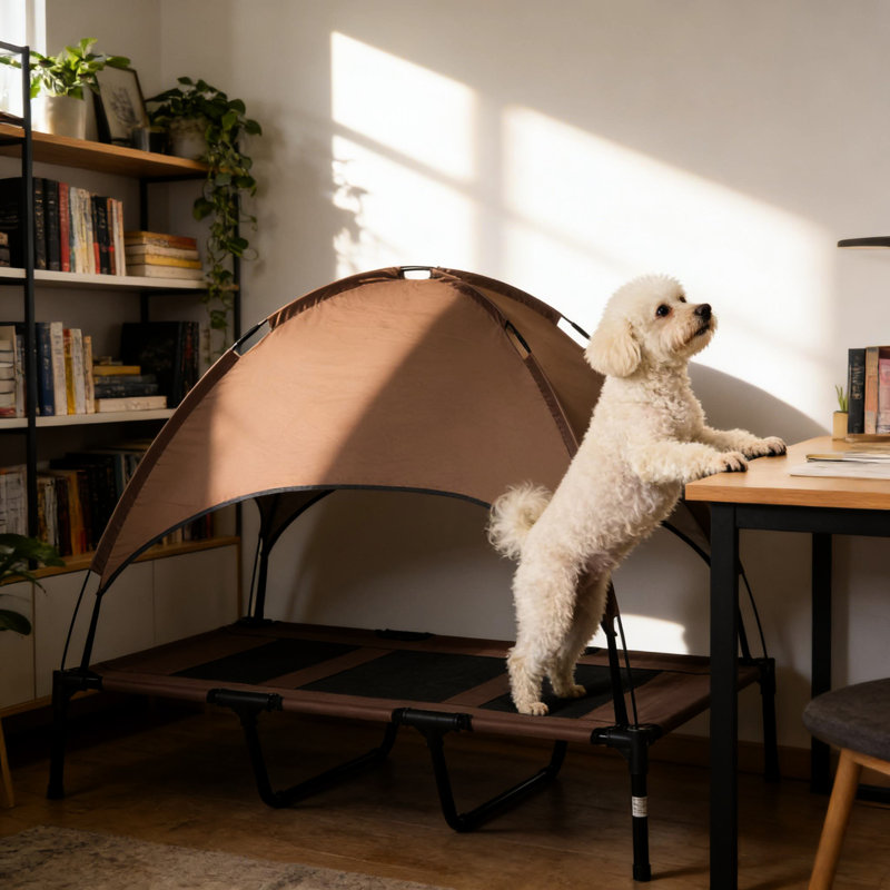 Lit portatif pour chien surélevé avec auvent, filet en circulation d'air, structure en acier stable, pour les chiens XXL dans une ombre estivale