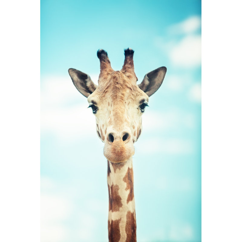 Giraffe Portrait - Wrapped Canvas Print, 91cm H x 61cm W x 3.8cm D