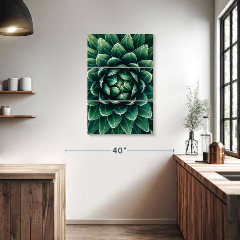 Harnek Blooming Victoria Agave, 38" H x 24" W