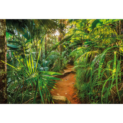 Ensemble de panneaux muraux 8 pièces L 99,6 pi x l 144 po Jungle Trail