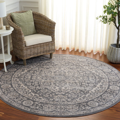 Oriental Light Gray/Ivory Area Rug