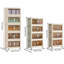 Armoire de rangement 19,69 po