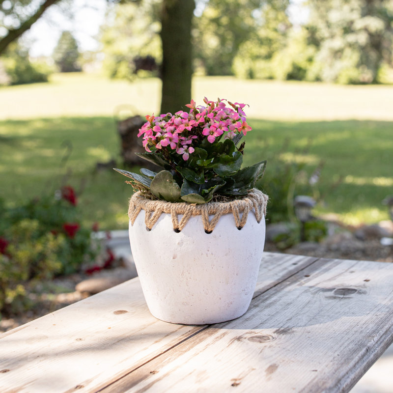 Pot à fleurs en terre cuite Ahriella