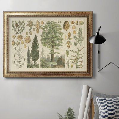" Arbor Collection "