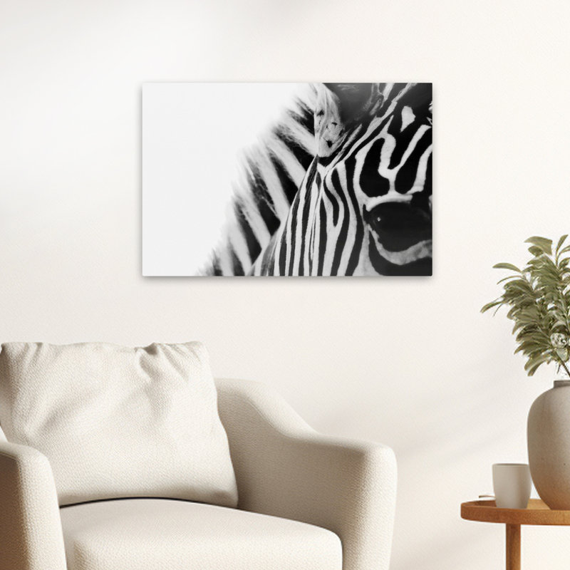 Œil de zèbre - Photographie, animaux, nature, faune, zèbres, art, H 16 po x l 24 po