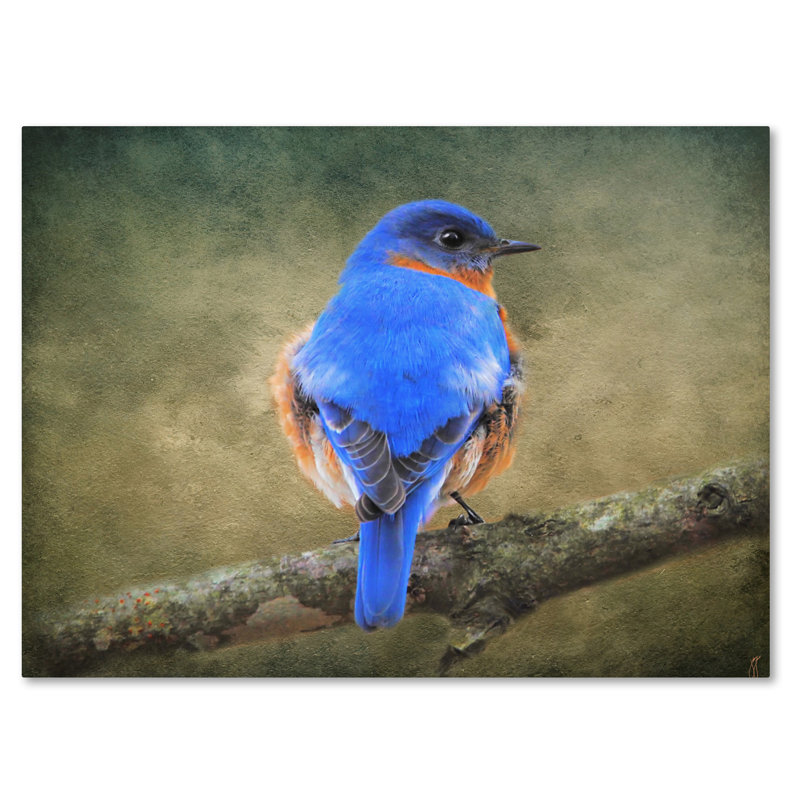«Bluebird Portrait» de Vidur, impression sur toile tendue, H 18 po x l 24 po