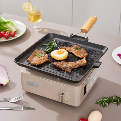Cast Iron Grill & Griddle Pan