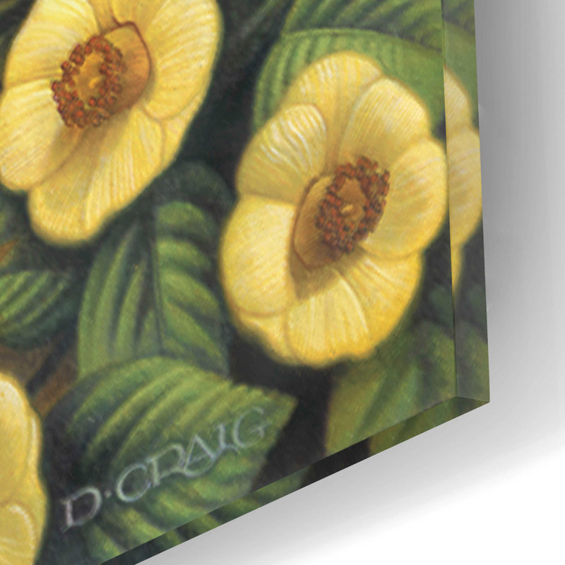 Yellow Labs par Dan Craig, H 16 po x l 12 po x P 0,13 po