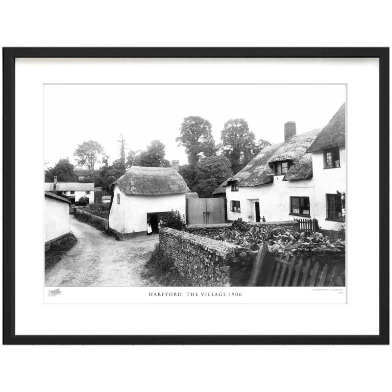 Harpford, The Village 1906 - Single Picture Frame Print, 40cm H x 50cm W x 2.3cm D