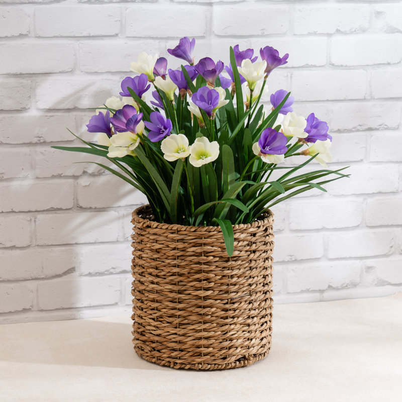 58cm Faux Crocus in Seagrass Basket
