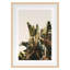Equaltorial Print by Alicia Bock-1881688360-1881688362