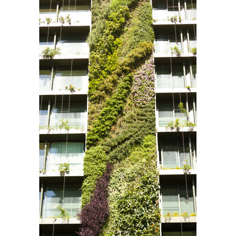 Vertical Garden On Building by Imamember - No Frame Art Prints on Canvas, 30cm H x 20cm W