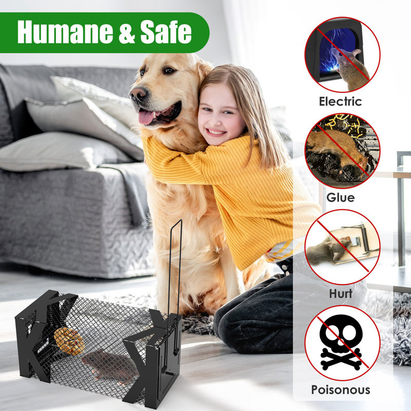 Humane Live Mouse Cage Easy To Catch And Release