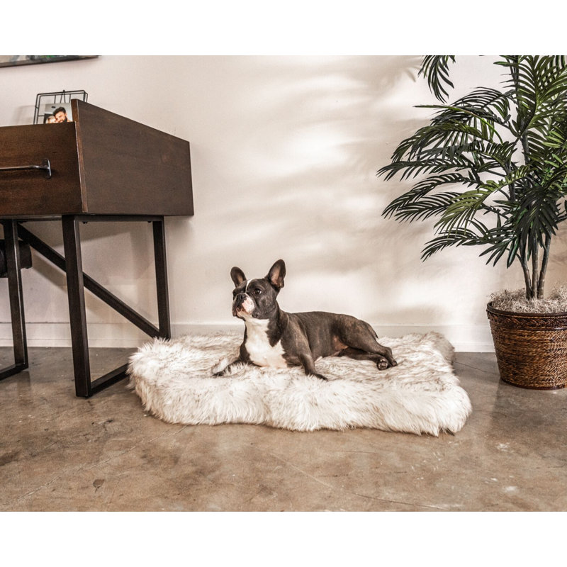 Medium Polar White Faux Fur Orthopedic Dog Bed