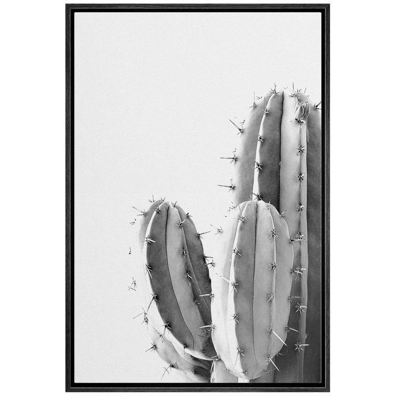 «Black and White Southwest Desert Cactus Modern Botanical», art mural sur toile, H 36 po x l 24 po x P 1,5 po, Noir