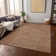  Machine Washable Indoor/Outdoor Chantille ACN990 Green Area Rug