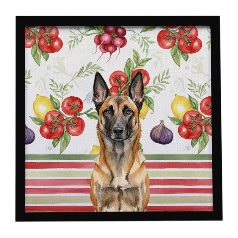 Légumes belges malinois, impression sur métal encadrée
