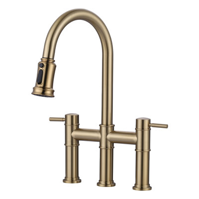 Aleasha Pull Out Kitchen Faucet