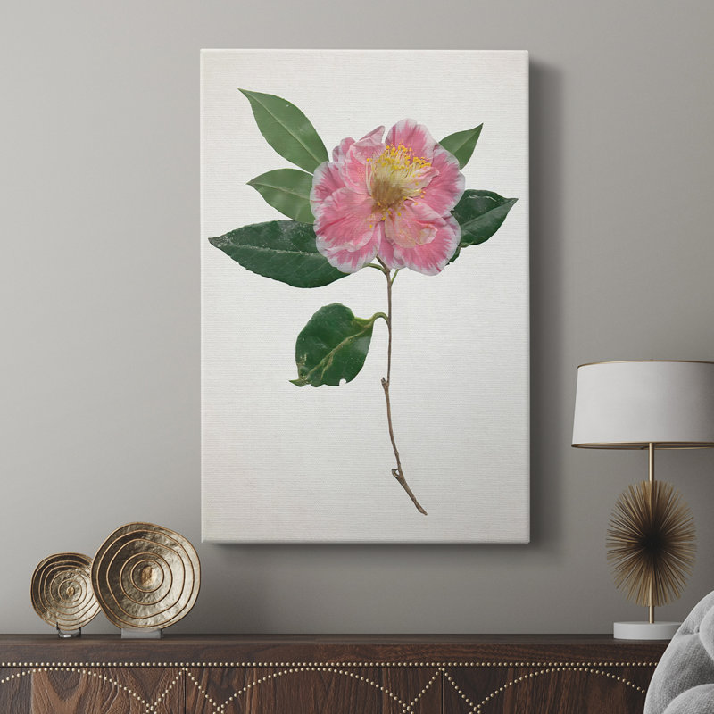 PressedCamelliaI -Custom Wrapped Gallery Cavas, 18" H x 12" W
