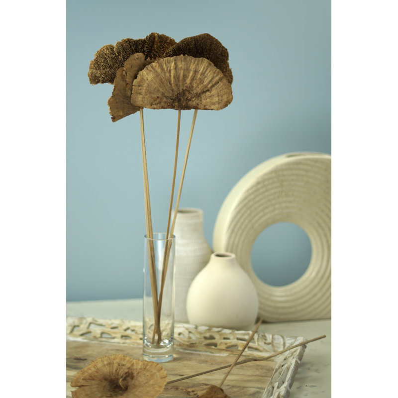 Champignons séchés