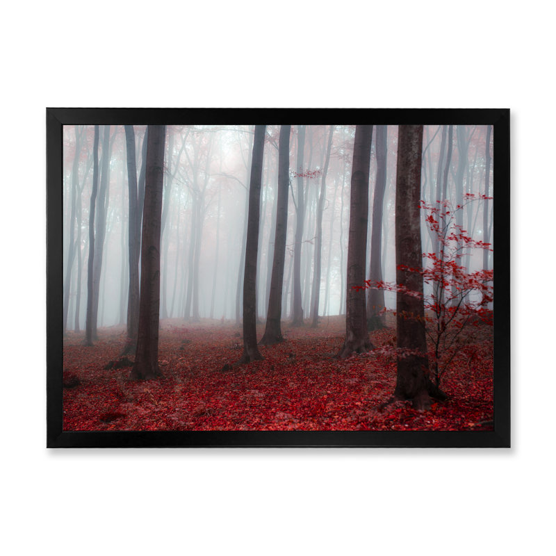 Foggy Morning Red Forest IV - décoration murale traditionnelle sur toile, Cadre noir, H 12 po x l 8 po x P 1 po