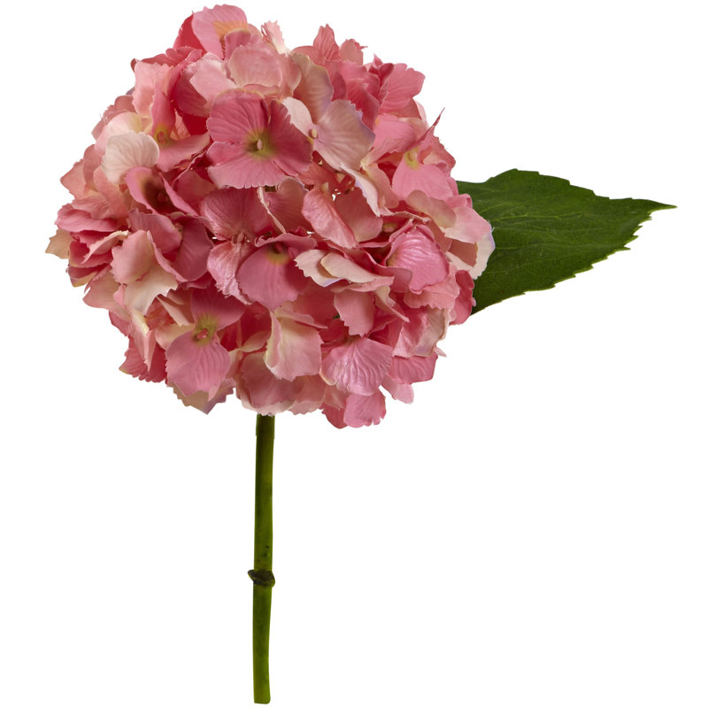 Hydrangea Arrangement, Pink