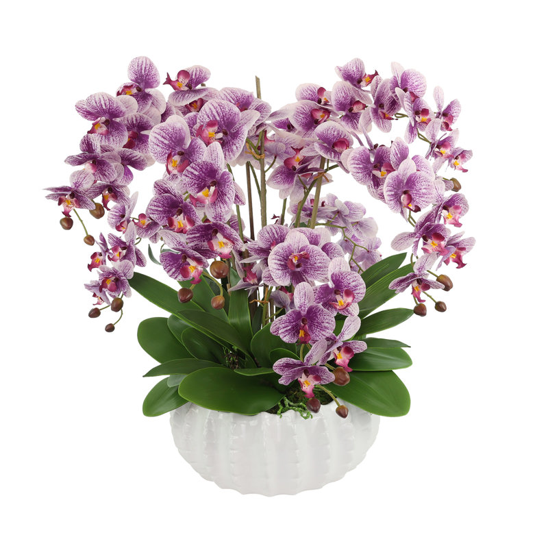 Purple Orchids Arranged in Decorative Ceramic Pot, 30"H x 28"W x 28"D