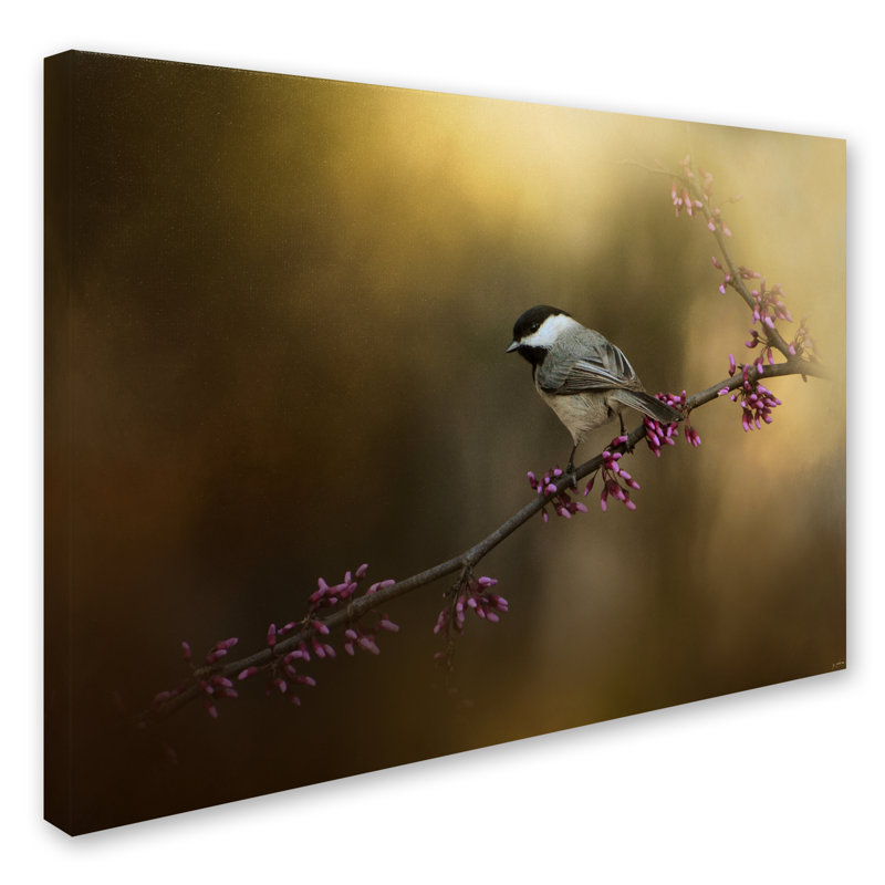 Vidur «Chickadee in the Golden Light», impression sur toile tendue, H 35 po x l 47 po