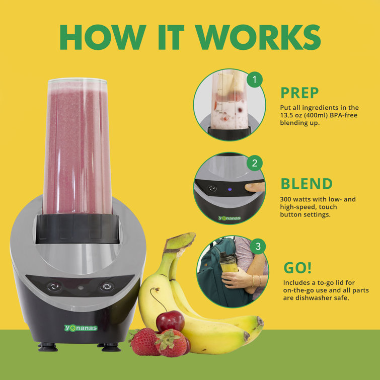 https://assets.wfcdn.com/im/58380641/resize-h755-w755%5Ecompr-r85/2424/242418498/Yonanas+Personal+Blender+for+Shakes+and+Smoothies.jpg