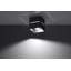 Lobo Flush Mount
