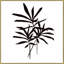 Modern Botanical 4 Print by Lee Lessem-776050622-776050621