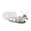 Western Pewter Butter Dish