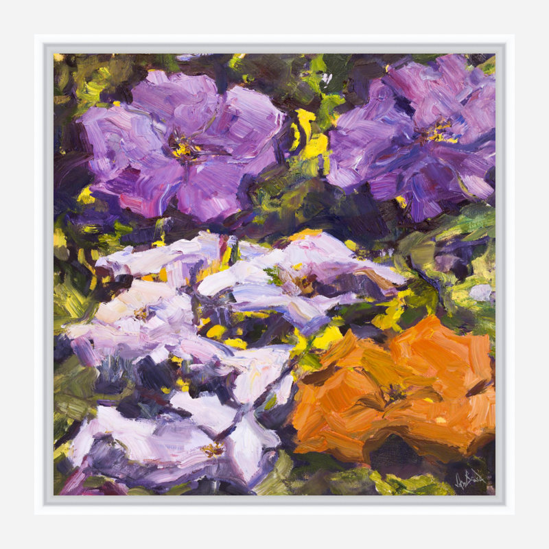 " Pansies By John Beard - Gallery Wrapped Canvas Print " by John Beard, 22" H x 22" W x 2" D, White Floater Framed