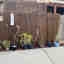Photos des clients 3 de 3