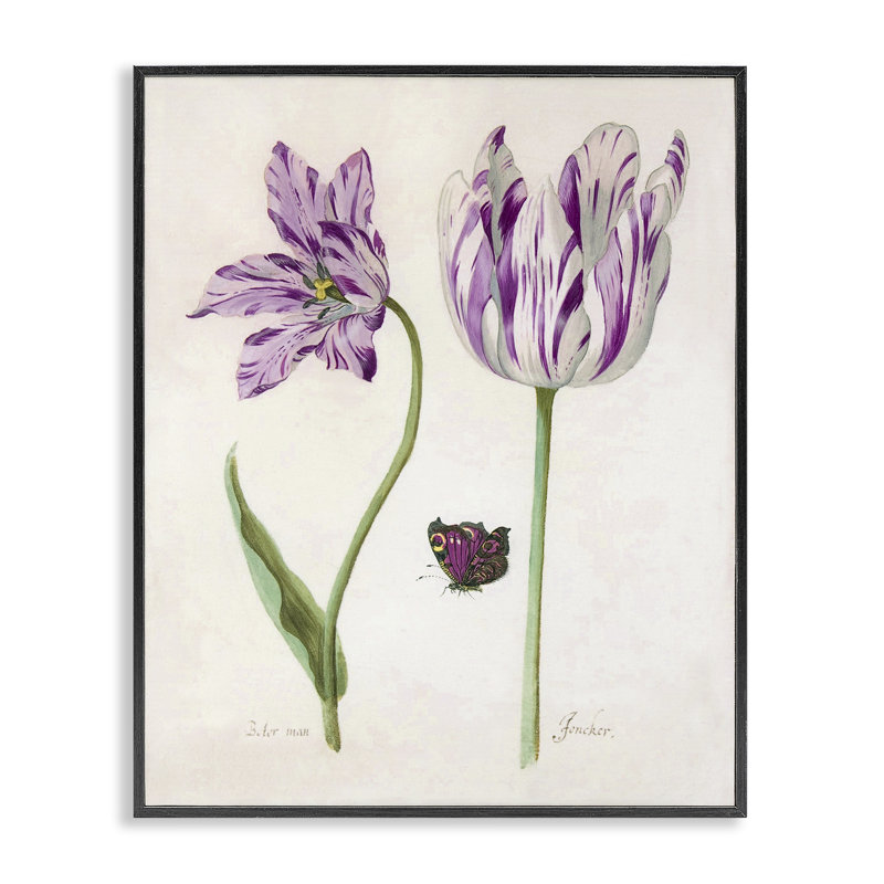 Deux tulipes à fleurs mauves, estampe numérique, design par Jacob Marell, H 30 po x l 24 po, Giclée encadrée noir minuit