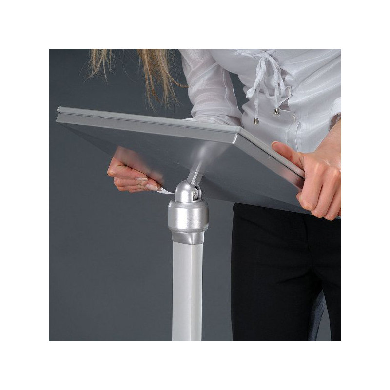 Porte-enseignes flexible