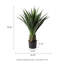 Fausse plante d'agave en pot Amee H 39,25 po