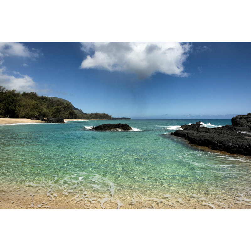 Paradise by Danny Head - Print on Canvas, Wrapped Canvas, 81cm H x 122cm W