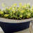 Metal Pot Planter