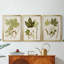 Antique Leaves IV - Toile tendue avec châssis sur mesure - 3 pièces-115872153-115872154